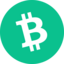 Is Bitcoin Cash Halal