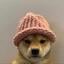 Is dogwifhat Halal