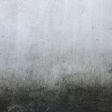 Profile photo of Mas Bendil