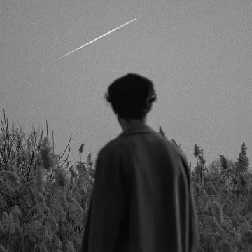 Profile photo of Ayman Shahmy