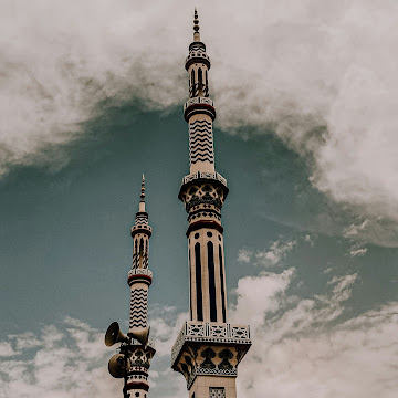 Profile photo of Alaa Eddine