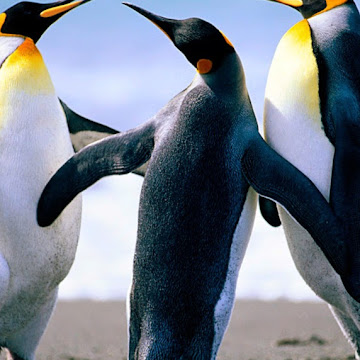 Profile photo of Md. Nazmul Islam Nissan