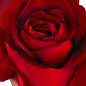 Profile photo of staif75